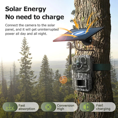SOLAR 4G LTE WILDKAMERA NACHTSICHT