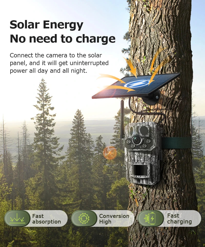 SOLAR 4G LTE WILDKAMERA NACHTSICHT